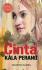 Cinta Kala Perang (Novel Islami)